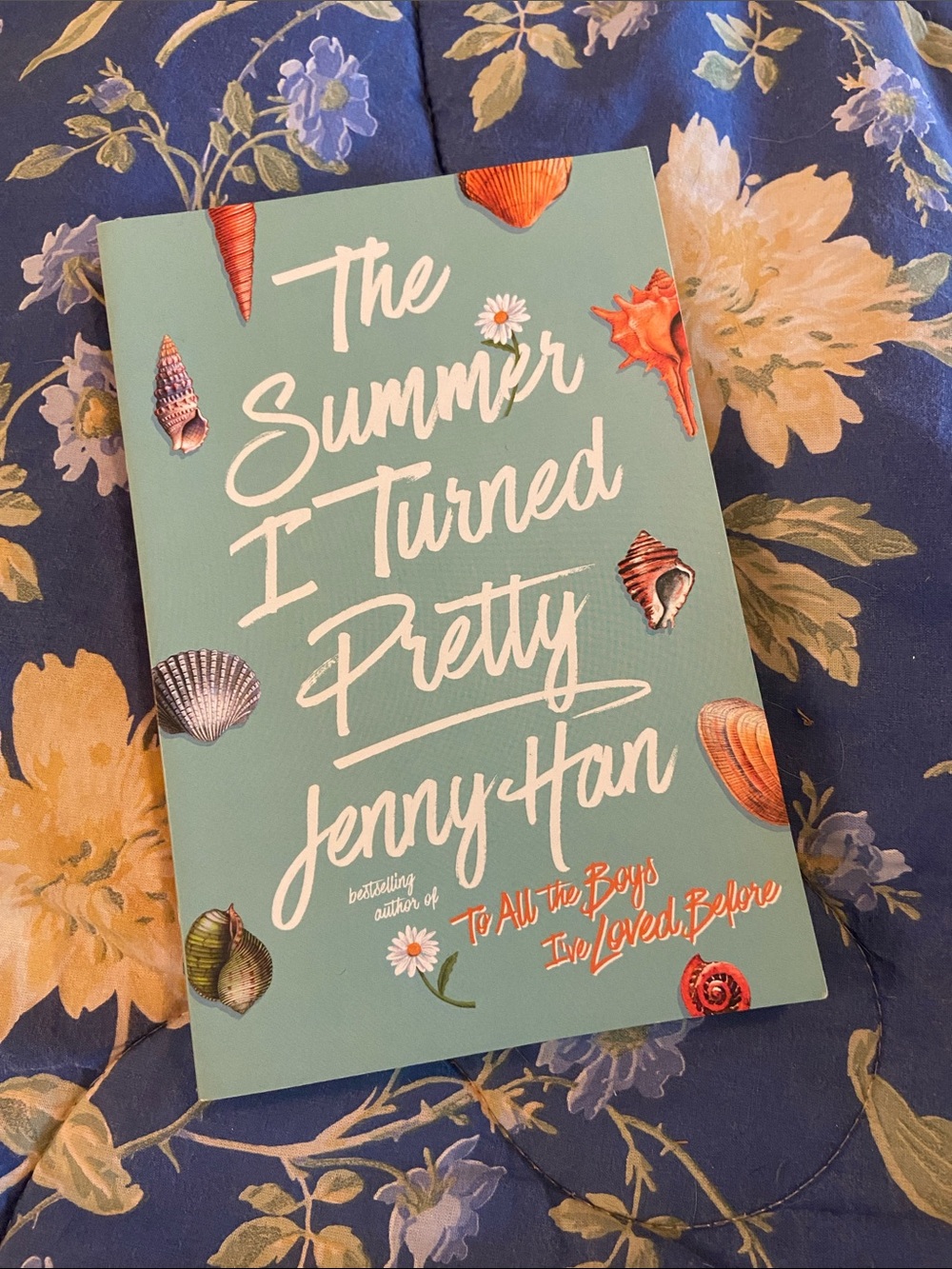 The Summer I Turned Pretty - Novel 1